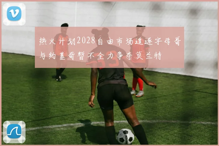 热火计划2028自由市场追逐字母哥与约基奇暂不全力争夺莫兰特