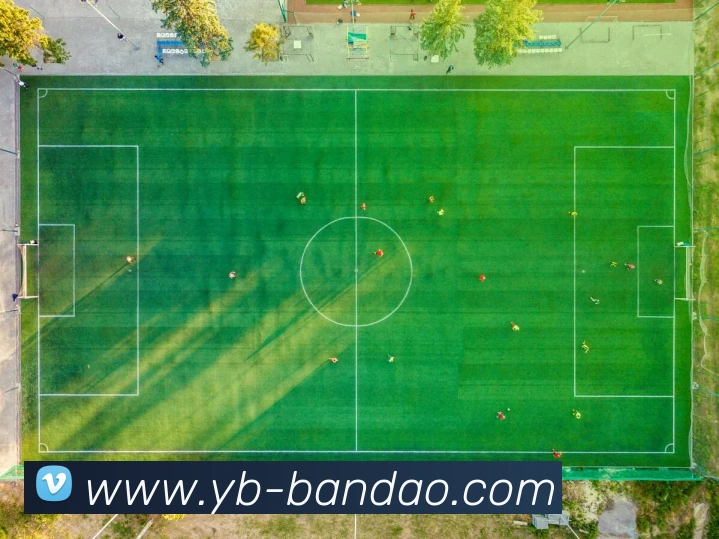 半岛体育平台生态图