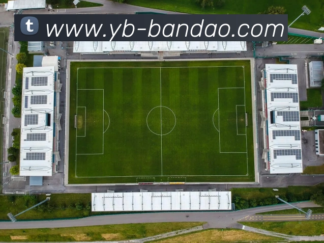 半岛体育APP 封面图