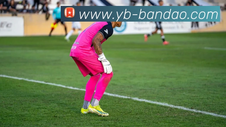 数据防护可视化