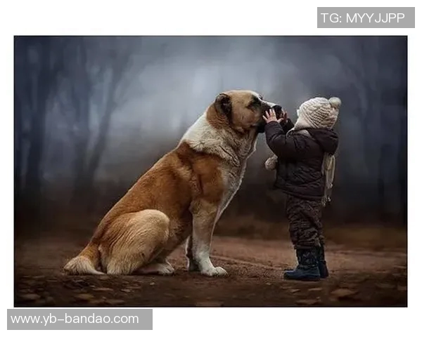 可爱泽卡分享孩子咧嘴笑照引发网友热议温馨瞬间感动无数人