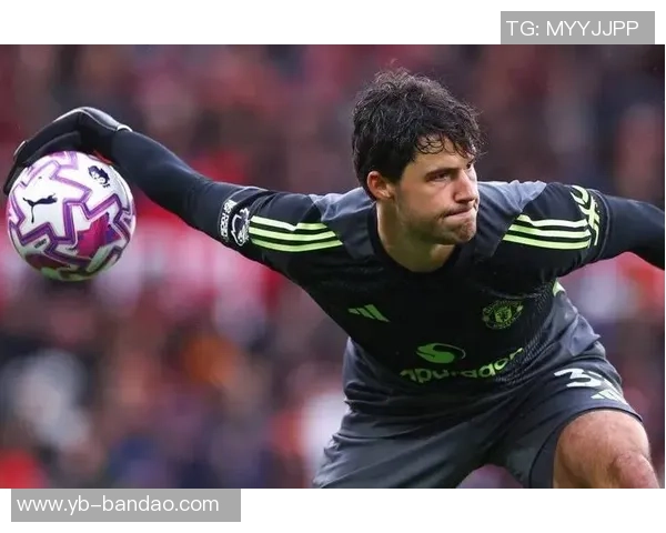 费迪南德称赞拉门斯稳定表现提升全队信心助力战胜桑德兰 费迪南德称赞拉门斯稳定表现提升全队信心助力战胜桑德兰